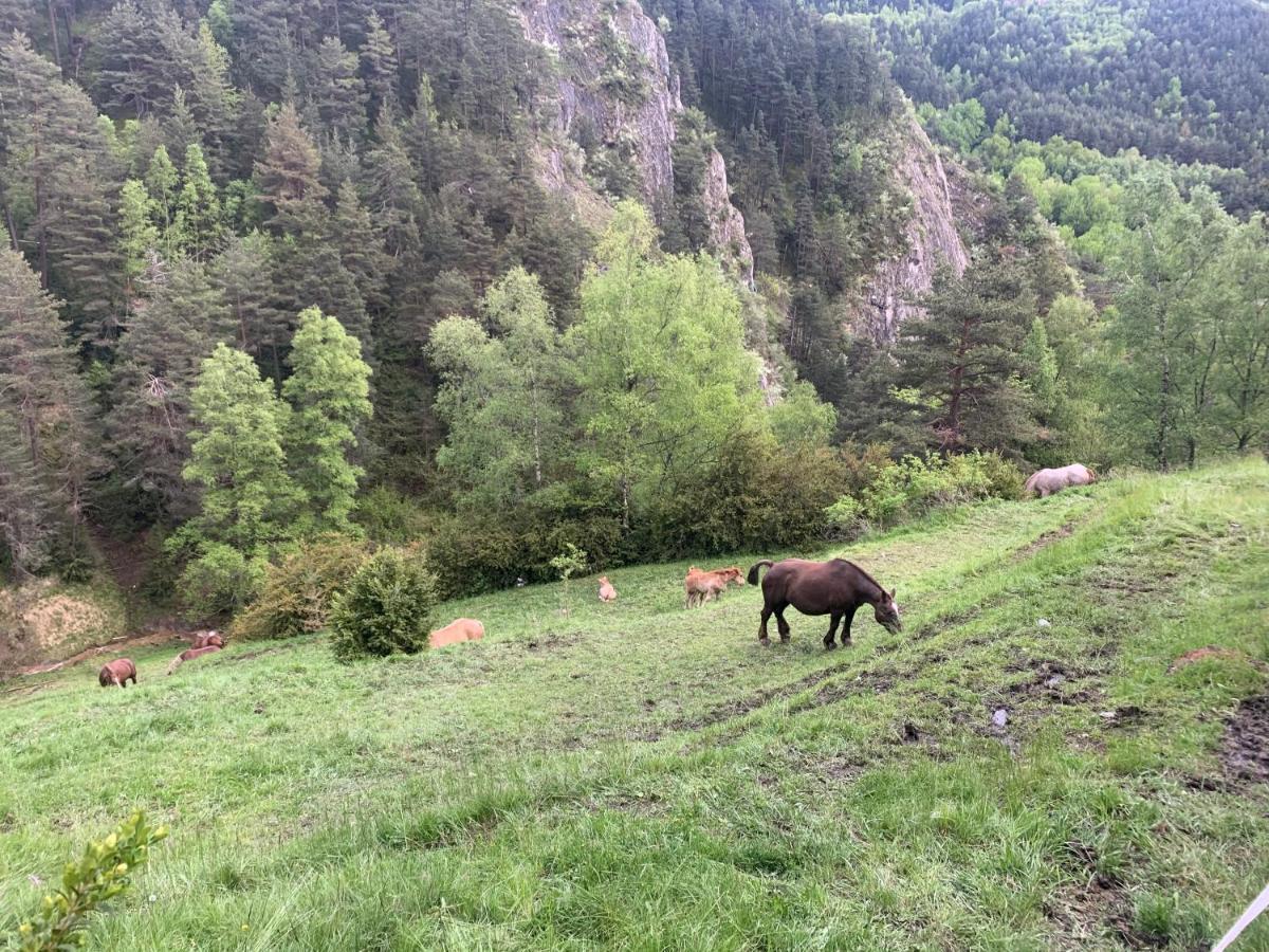 Siscaro - Peu Del Riu 310 - Vall D'Incles - Soldeu Apartment Luaran gambar